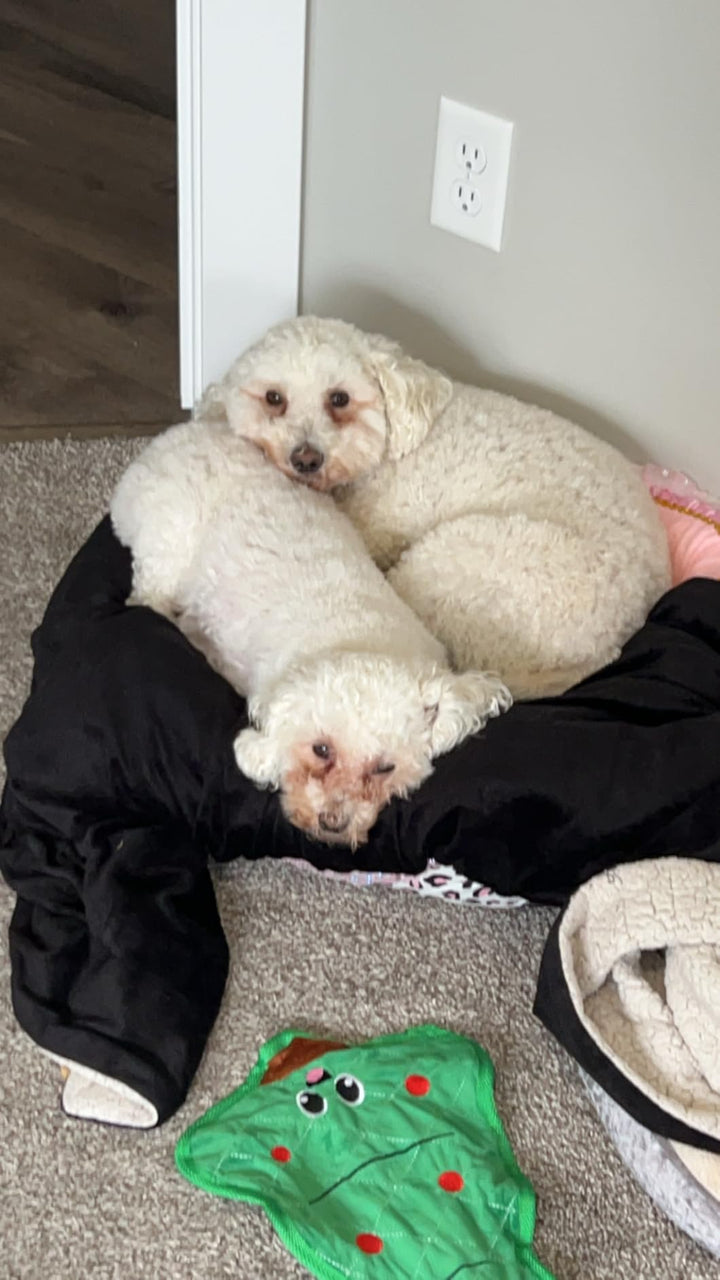 Review by Sharon Jones