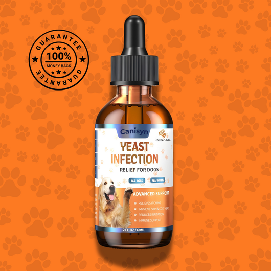 Yeast & Itch Relief for Dogs | Canisyn BioRelief™