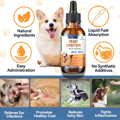 Yeast & Itch Relief for Dogs | Canisyn BioRelief™