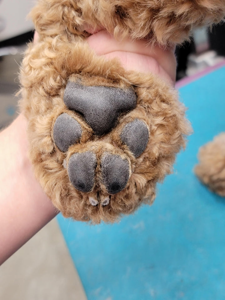 Review by Angie Peters